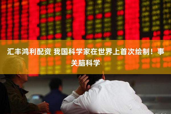 汇丰鸿利配资 我国科学家在世界上首次绘制！事关脑科学