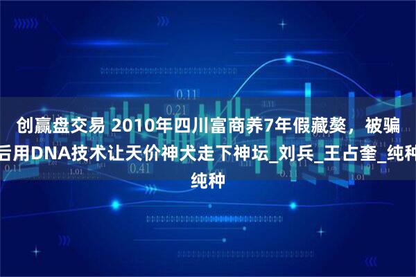 创赢盘交易 2010年四川富商养7年假藏獒，被骗后用DNA技术让天价神犬走下神坛_刘兵_王占奎_纯种
