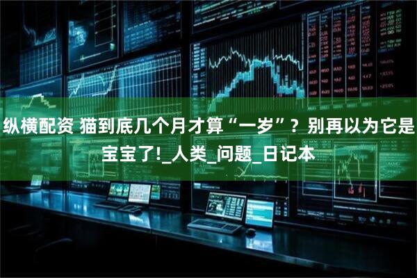 纵横配资 猫到底几个月才算“一岁”？别再以为它是宝宝了!_人类_问题_日记本