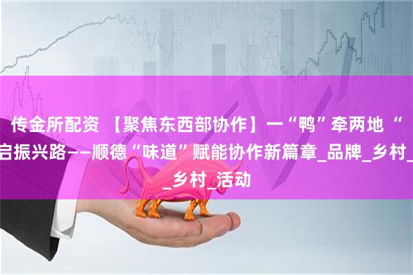 传金所配资 【聚焦东西部协作】一“鸭”牵两地 “味”启振兴路——顺德“味道”赋能协作新篇章_品牌_乡村_活动