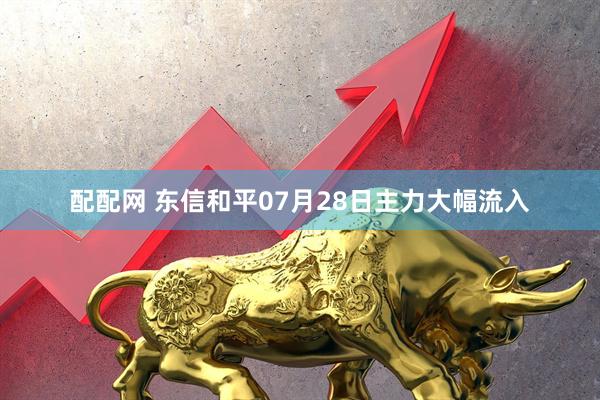 配配网 东信和平07月28日主力大幅流入