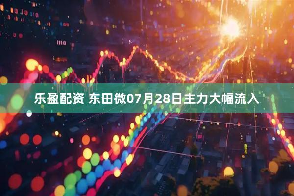 乐盈配资 东田微07月28日主力大幅流入