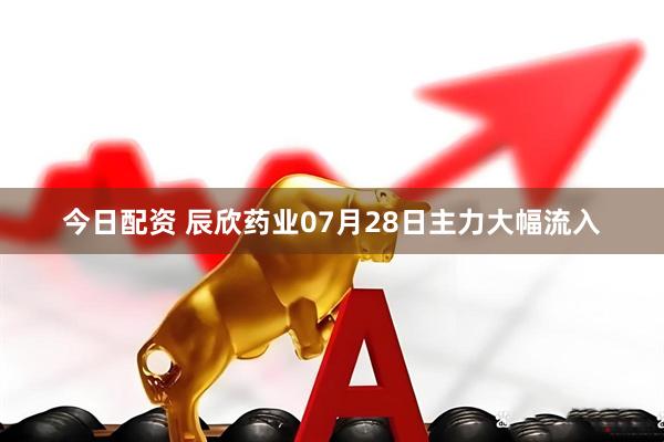 今日配资 辰欣药业07月28日主力大幅流入