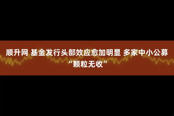 顺升网 基金发行头部效应愈加明显 多家中小公募“颗粒无收”