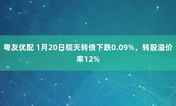 粤友优配 1月20日皖天转债下跌0.09%,转股溢价率12%
