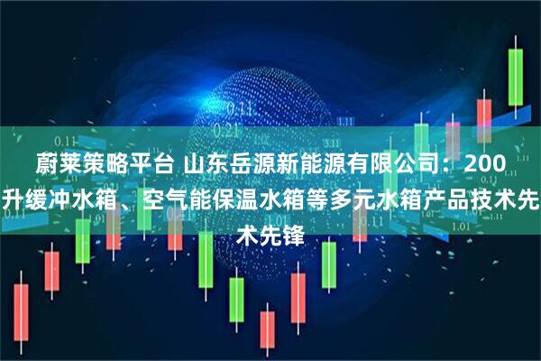 蔚莱策略平台 山东岳源新能源有限公司：200毫升缓冲水箱、空气能保温水箱等多元水箱产品技术先锋